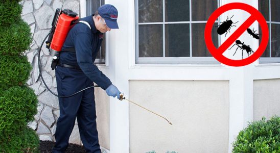 Saraykent Akrep İlaçlama böcek ilaçlama ve haşere kontrolü — ilaclama-tr.com